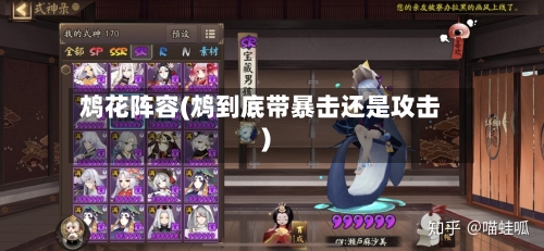 鸩花阵容(鸩到底带暴击还是攻击)