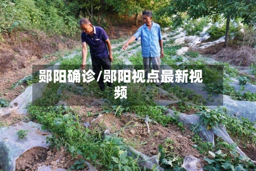 郧阳确诊/郧阳视点最新视频
