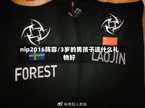 nip2016阵容/3岁的男孩子送什么礼物好-第3张图片