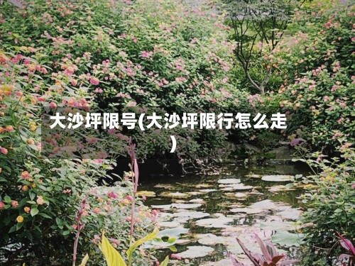 大沙坪限号(大沙坪限行怎么走)