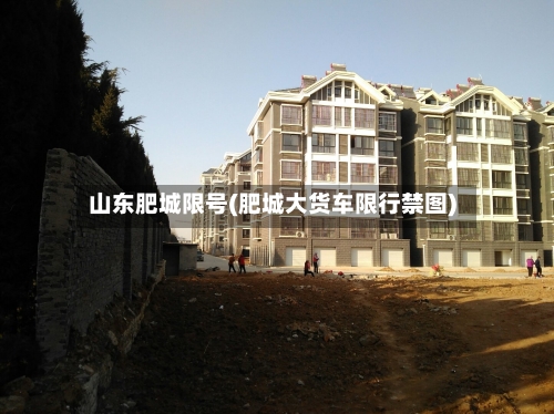 山东肥城限号(肥城大货车限行禁图)