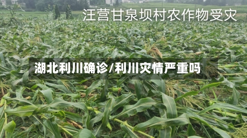 湖北利川确诊/利川灾情严重吗