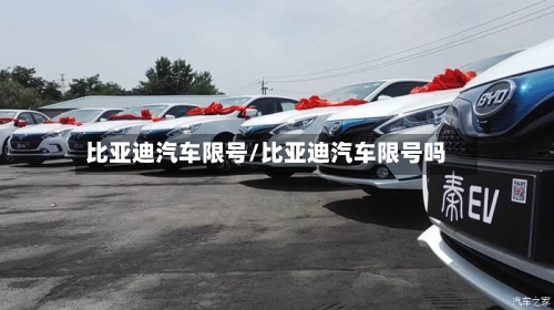 比亚迪汽车限号/比亚迪汽车限号吗-第2张图片