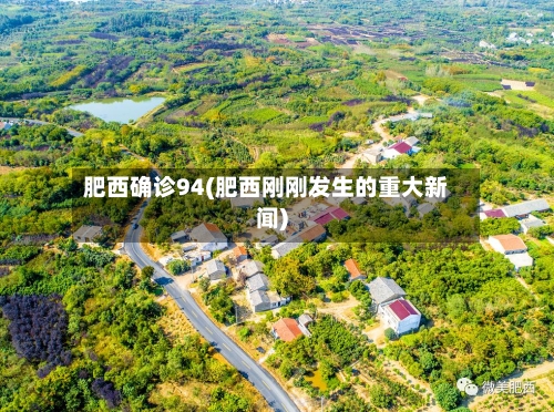 肥西确诊94(肥西刚刚发生的重大新闻)-第2张图片