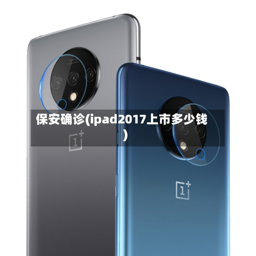 保安确诊(ipad2017上市多少钱)-第2张图片