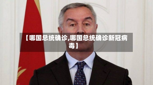 【哪国总统确诊,哪国总统确诊新冠病毒】