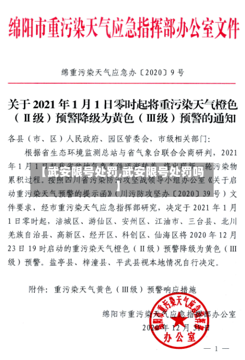 【武安限号处罚,武安限号处罚吗】