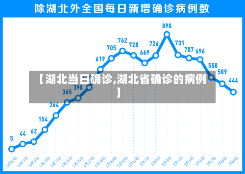 【湖北当日确诊,湖北省确诊的病例】