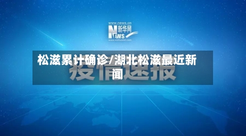 松滋累计确诊/湖北松滋最近新闻-第2张图片