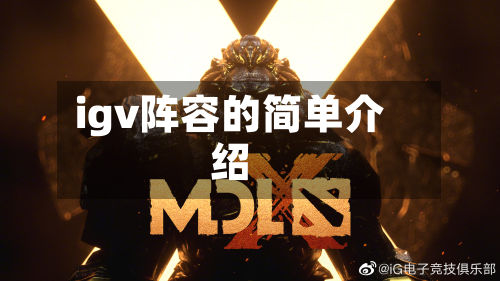 igv阵容的简单介绍
