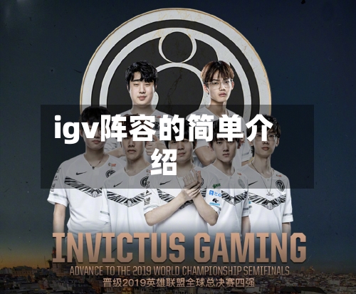 igv阵容的简单介绍-第2张图片