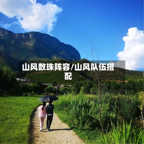 山风数珠阵容/山风队伍搭配-第2张图片