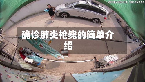 确诊肺炎枪毙的简单介绍