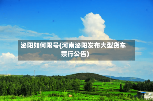 泌阳如何限号(河南泌阳发布大型货车禁行公告)-第3张图片