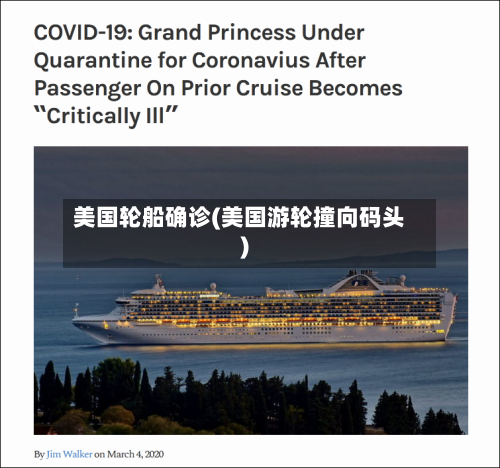 美国轮船确诊(美国游轮撞向码头)-第2张图片