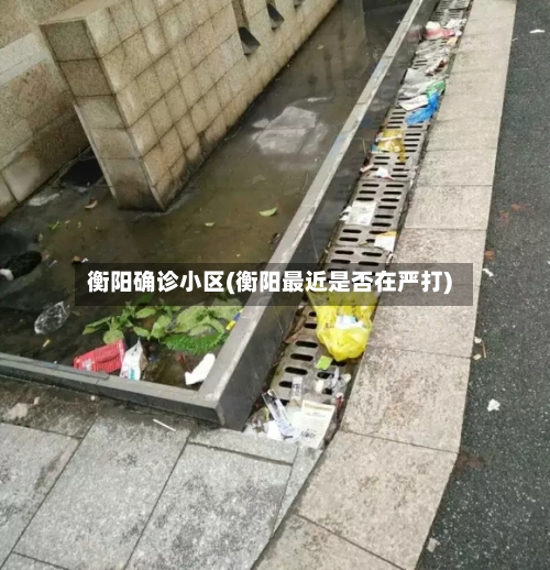 衡阳确诊小区(衡阳最近是否在严打)