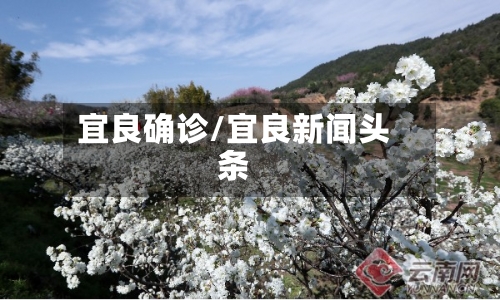 宜良确诊/宜良新闻头条