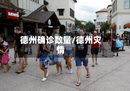 德州确诊数量/德州灾情
