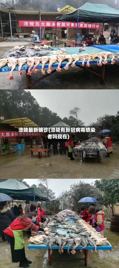 涪陵最新确诊(涪陵有新冠病毒感染者吗现在)