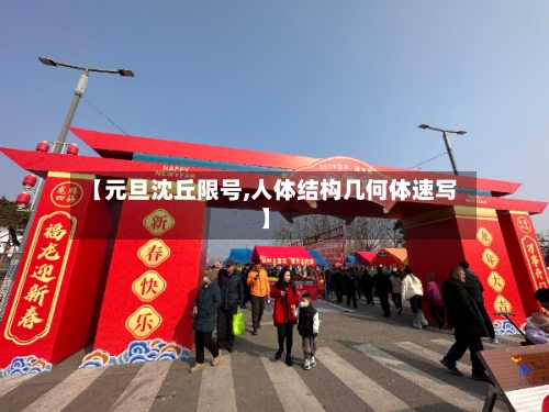 【元旦沈丘限号,人体结构几何体速写】