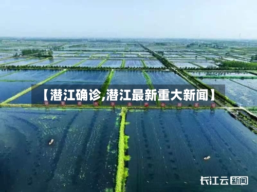 【潜江确诊,潜江最新重大新闻】