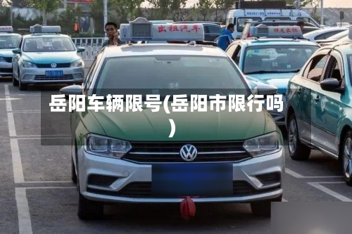 岳阳车辆限号(岳阳市限行吗)