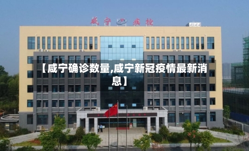 【咸宁确诊数量,咸宁新冠疫情最新消息】-第3张图片