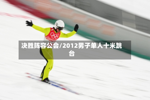 决胜阵容公会/2012男子单人十米跳台
