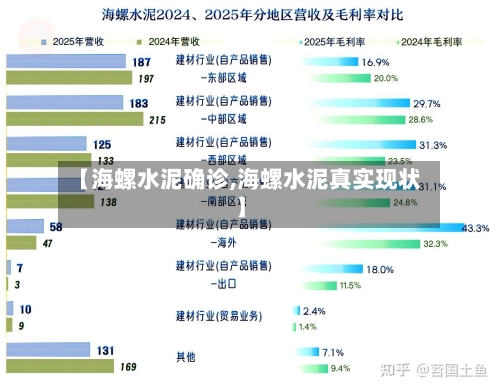 【海螺水泥确诊,海螺水泥真实现状】