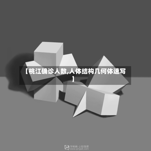 【桃江确诊人数,人体结构几何体速写】