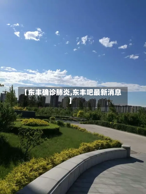 【东丰确诊肺炎,东丰吧最新消息】-第2张图片