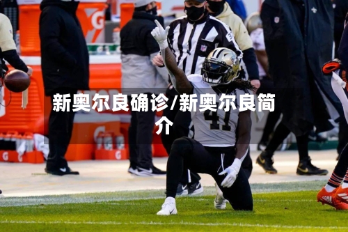 新奥尔良确诊/新奥尔良简介
