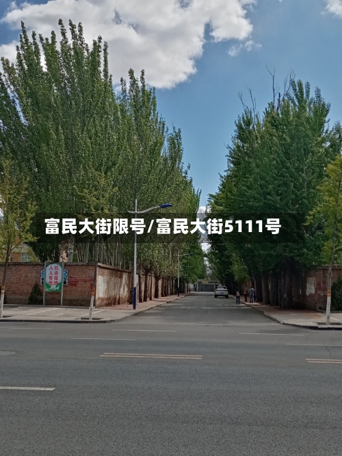 富民大街限号/富民大街5111号-第3张图片