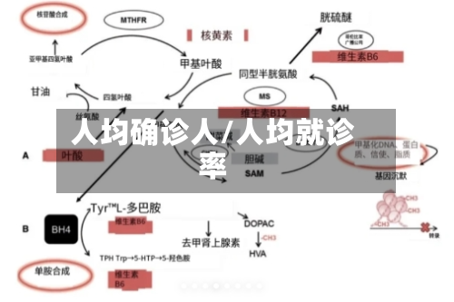 人均确诊人/人均就诊率