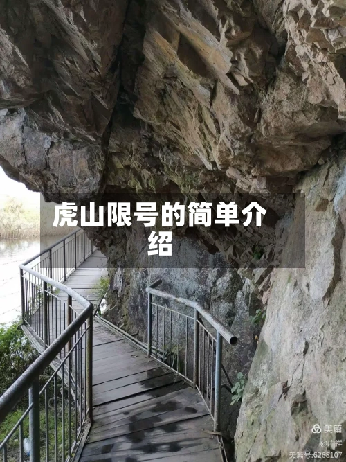 虎山限号的简单介绍