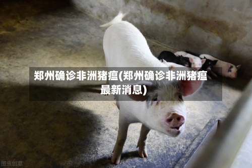 郑州确诊非洲猪瘟(郑州确诊非洲猪瘟最新消息)