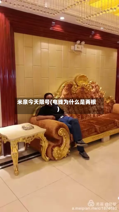 米泉今天限号(电线为什么是两根)