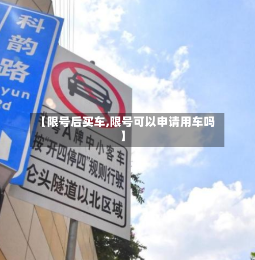 【限号后买车,限号可以申请用车吗】-第3张图片