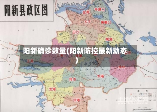 阳新确诊数量(阳新防控最新动态)-第2张图片