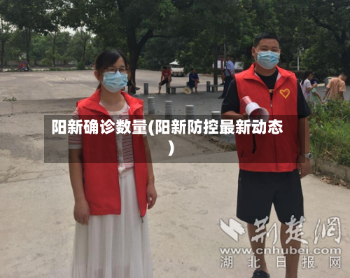 阳新确诊数量(阳新防控最新动态)