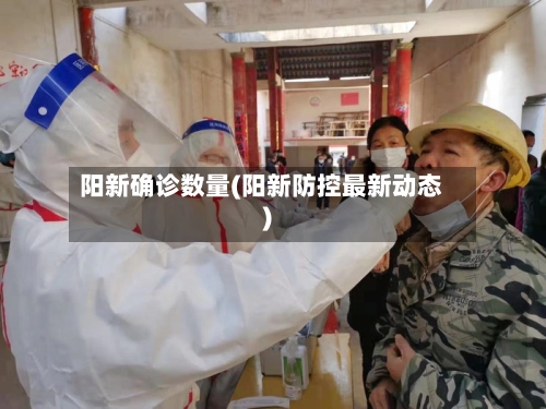 阳新确诊数量(阳新防控最新动态)-第3张图片