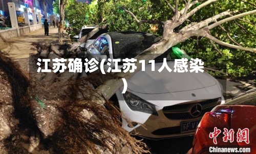 江苏确诊(江苏11人感染)-第3张图片