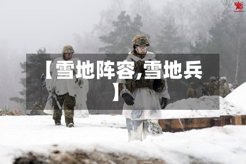 【雪地阵容,雪地兵】-第2张图片