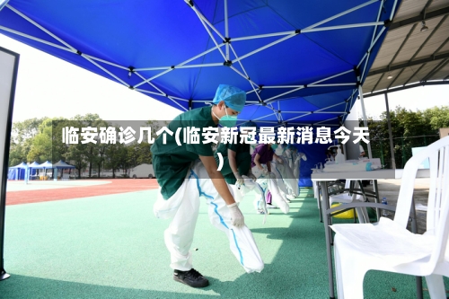 临安确诊几个(临安新冠最新消息今天)-第2张图片