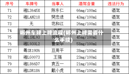 郴州车牌上牌流程(郴州上牌需要什么手续)-第2张图片
