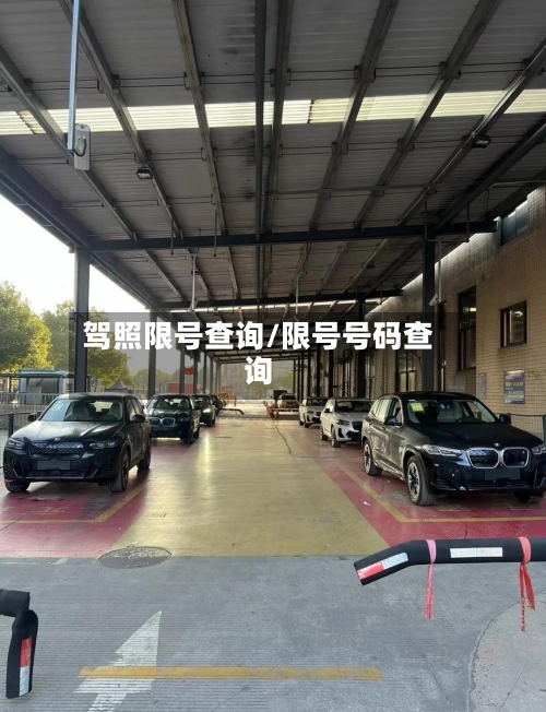 驾照限号查询/限号号码查询-第2张图片