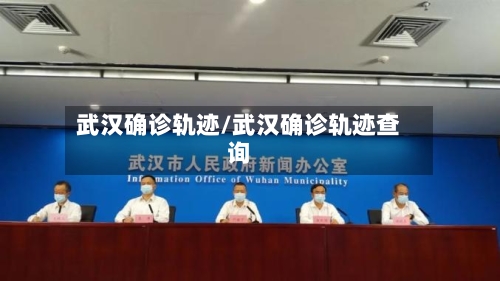 武汉确诊轨迹/武汉确诊轨迹查询-第2张图片