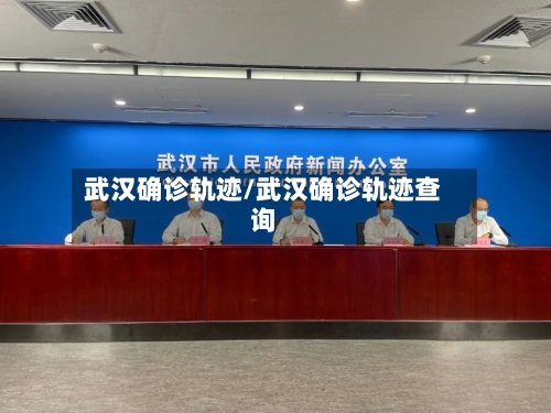 武汉确诊轨迹/武汉确诊轨迹查询