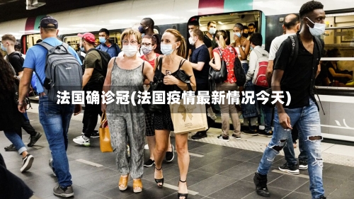 法国确诊冠(法国疫情最新情况今天)-第2张图片