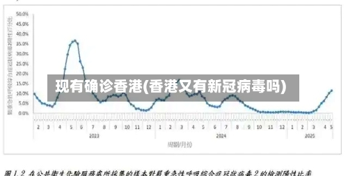 现有确诊香港(香港又有新冠病毒吗)
